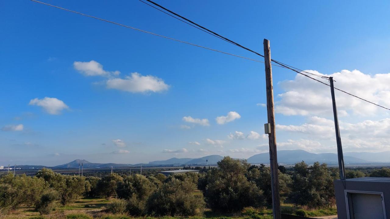 Makarios Apartment Near Athens Aiport Spata  Luaran gambar
